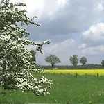 Ringhotel Forellenhof Hotel 4*