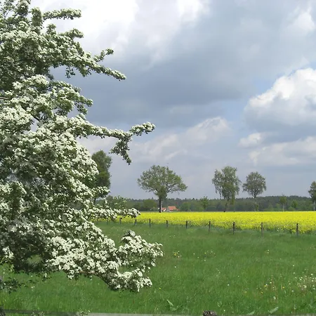 Ringhotel Forellenhof Отель 4*
