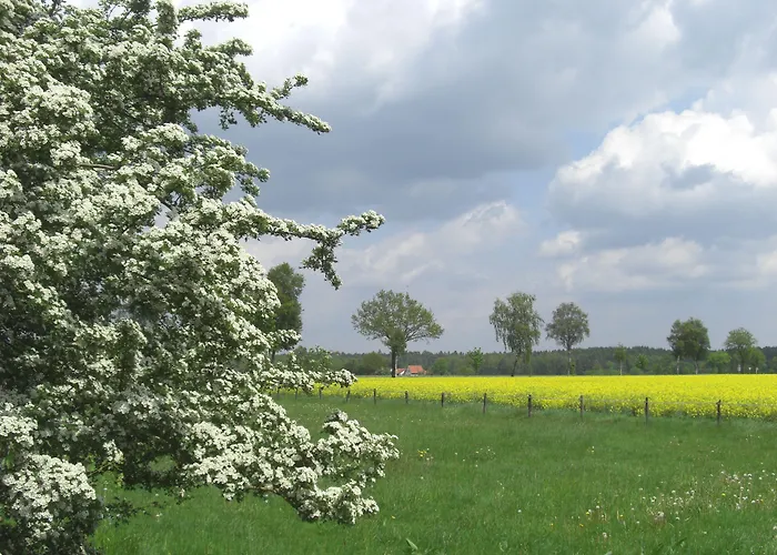 Ringhotel Forellenhof Hotel 4*